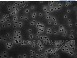 DTTP04700MILLIPORE聚碳酸酯0.6微米孔径过滤膜