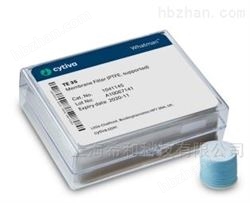 10411113聚四氟乙烯膜 (PTFE )TE 38 50mm 滤膜